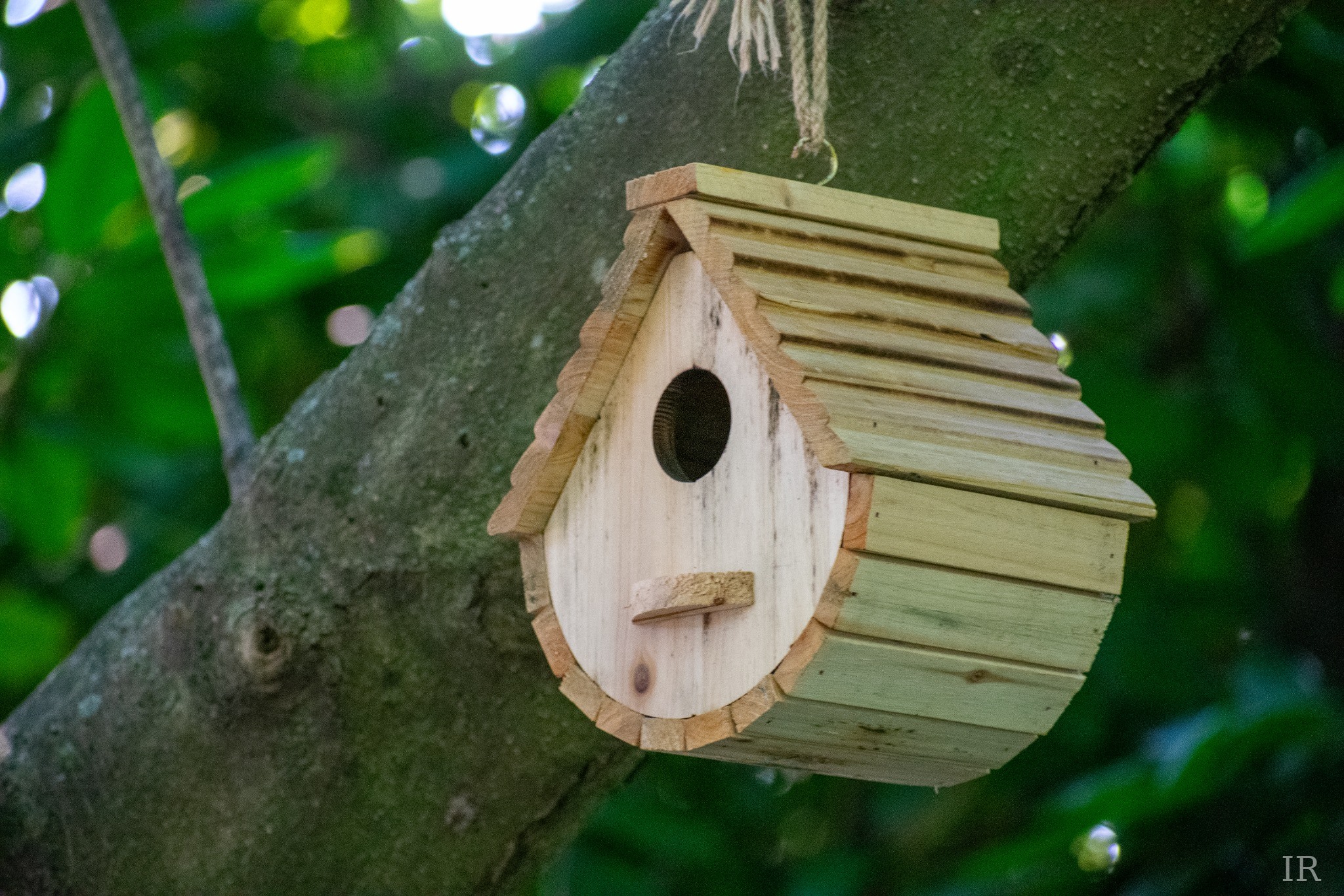 Wooden birdhouse hanging from a tree